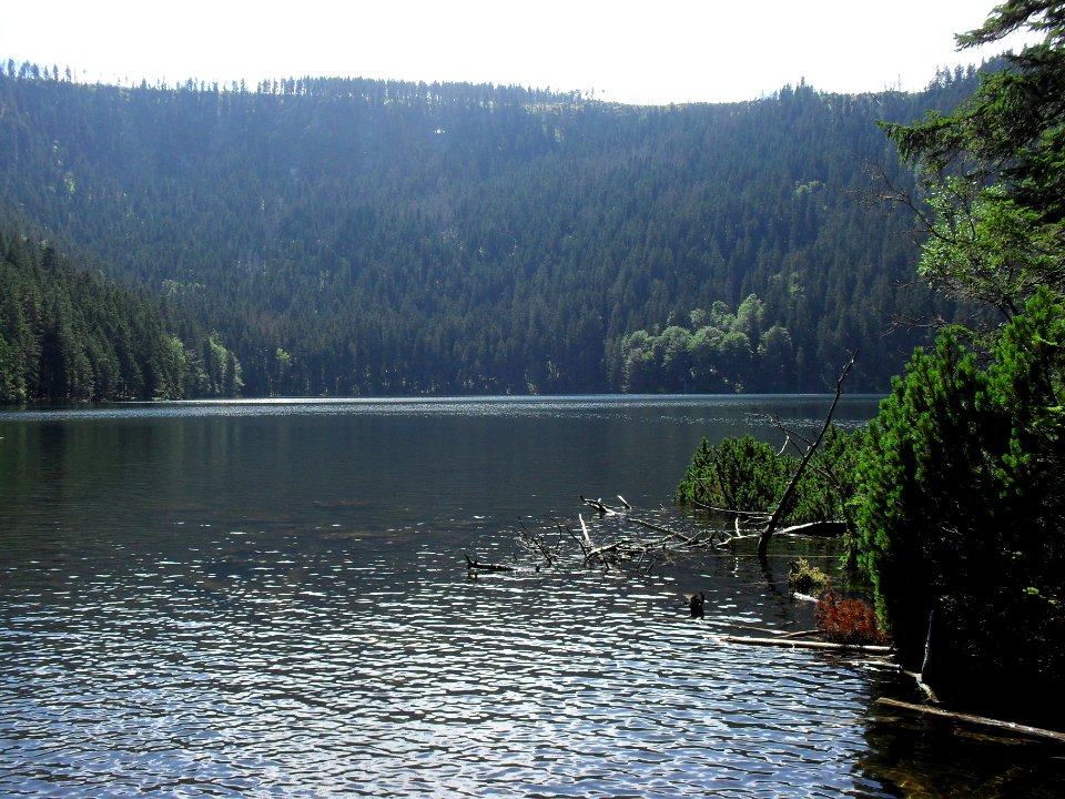 Vylet k Cernemu jezeru Sumava - 9.srpna 2010 127