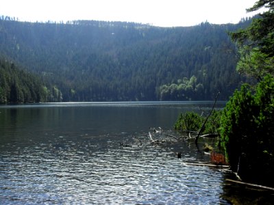 Vylet k Cernemu jezeru Sumava - 9.srpna 2010 127