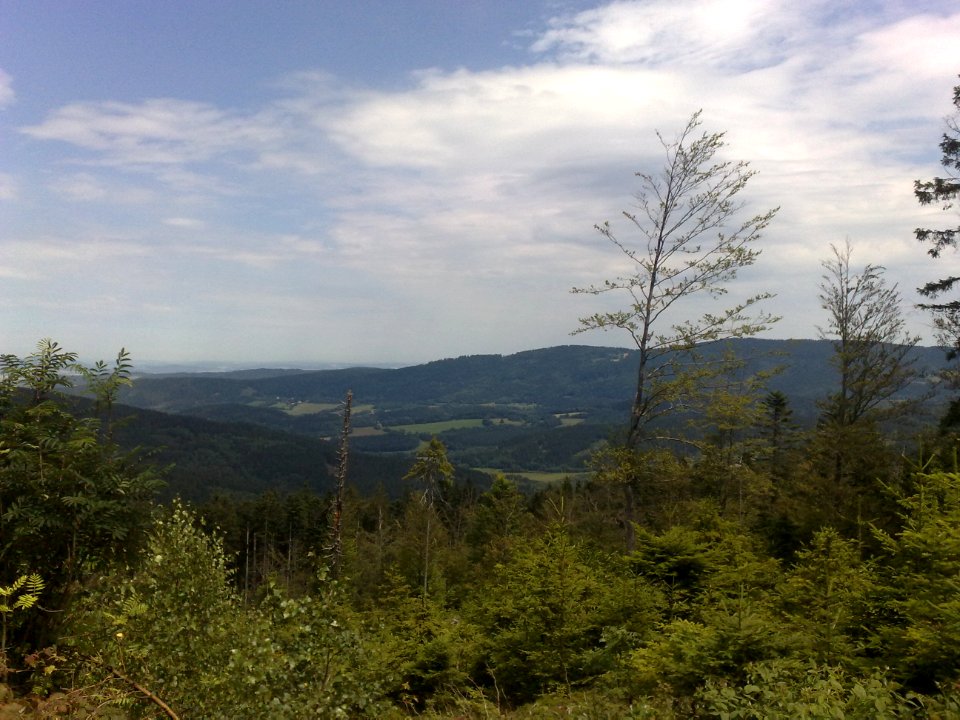 Vylet na Ostry, Sumava - 9 cervenec 2011 62