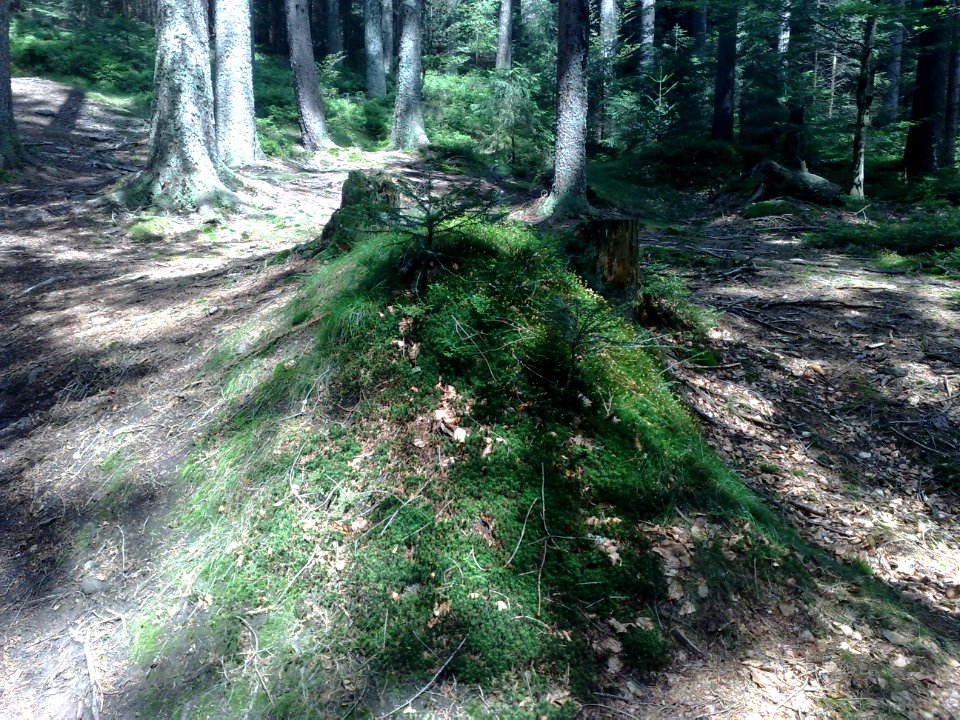Vylet na Ostry, Sumava - 9 cervenec 2011 47