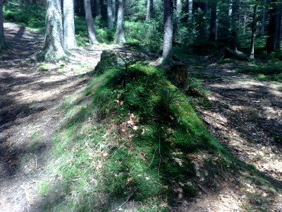 Vylet na Ostry, Sumava - 9 cervenec 2011 47