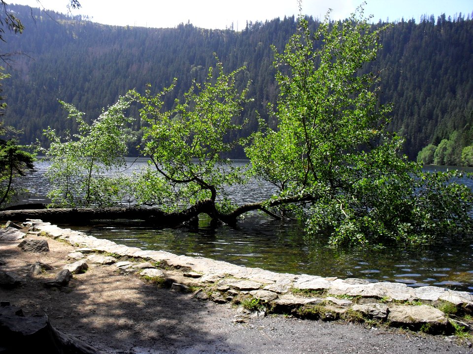 Vylet k Cernemu jezeru Sumava - 9.srpna 2010 109