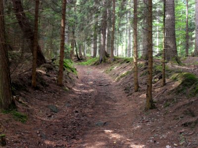 Vylet na Ostry, Sumava - 9 cervenec 2011 227