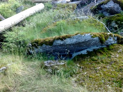 Vylet na Ostry, Sumava - 9 cervenec 2011 201