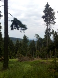 Vylet na Ostry, Sumava - 9 cervenec 2011 78