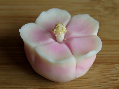 Wagashi closeup 09