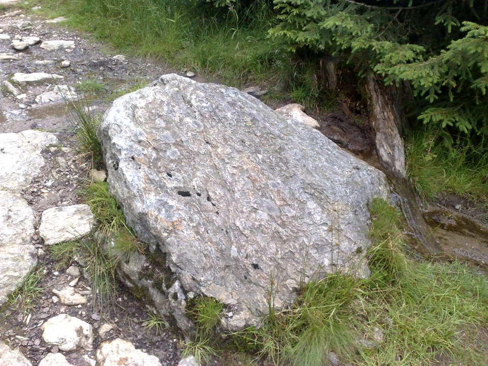 Vylet na Ostry, Sumava - 9 cervenec 2011 86