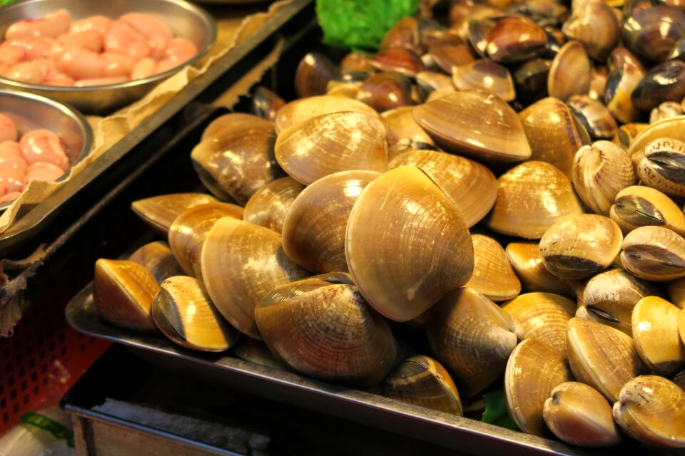 Foodie cooking seafood