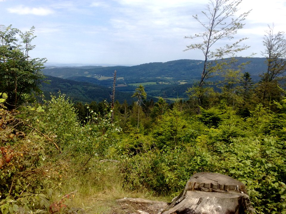 Vylet na Ostry, Sumava - 9 cervenec 2011 68