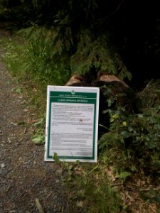 Vylet na Ostry, Sumava - 9 cervenec 2011 74