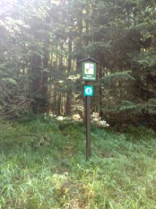 Vylet na Ostry, Sumava - 9 cervenec 2011 37