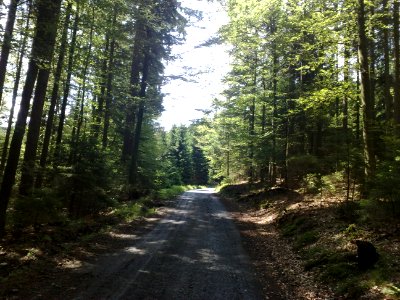 Vylet na Ostry, Sumava - 9 cervenec 2011 54
