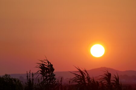 Sundown tërbuf albania photo