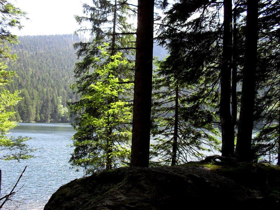 Vylet k Cernemu jezeru Sumava - 9.srpna 2010 165
