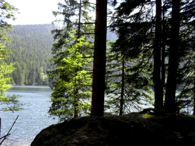 Vylet k Cernemu jezeru Sumava - 9.srpna 2010 165
