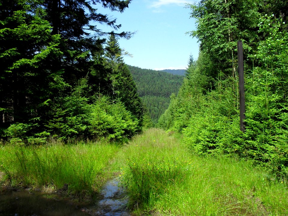 Vylet na Ostry, Sumava - 9 cervenec 2011 229