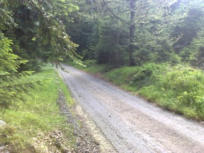 Vylet na Ostry, Sumava - 9 cervenec 2011 208