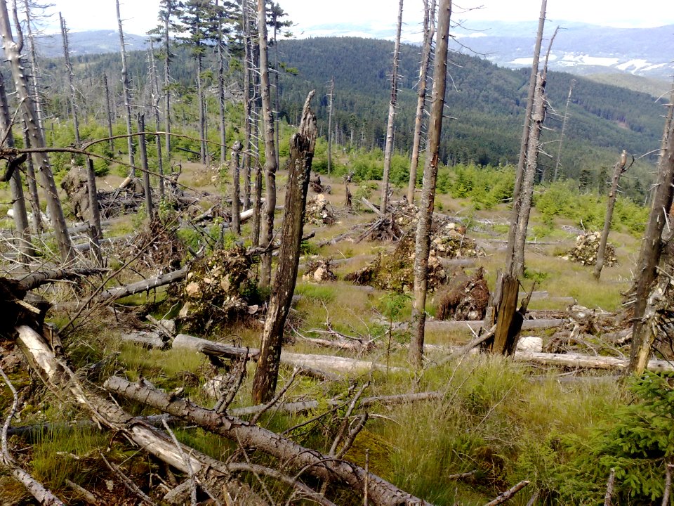 Vylet na Ostry, Sumava - 9 cervenec 2011 192