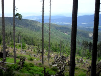 Vylet na Ostry, Sumava - 9 cervenec 2011 235