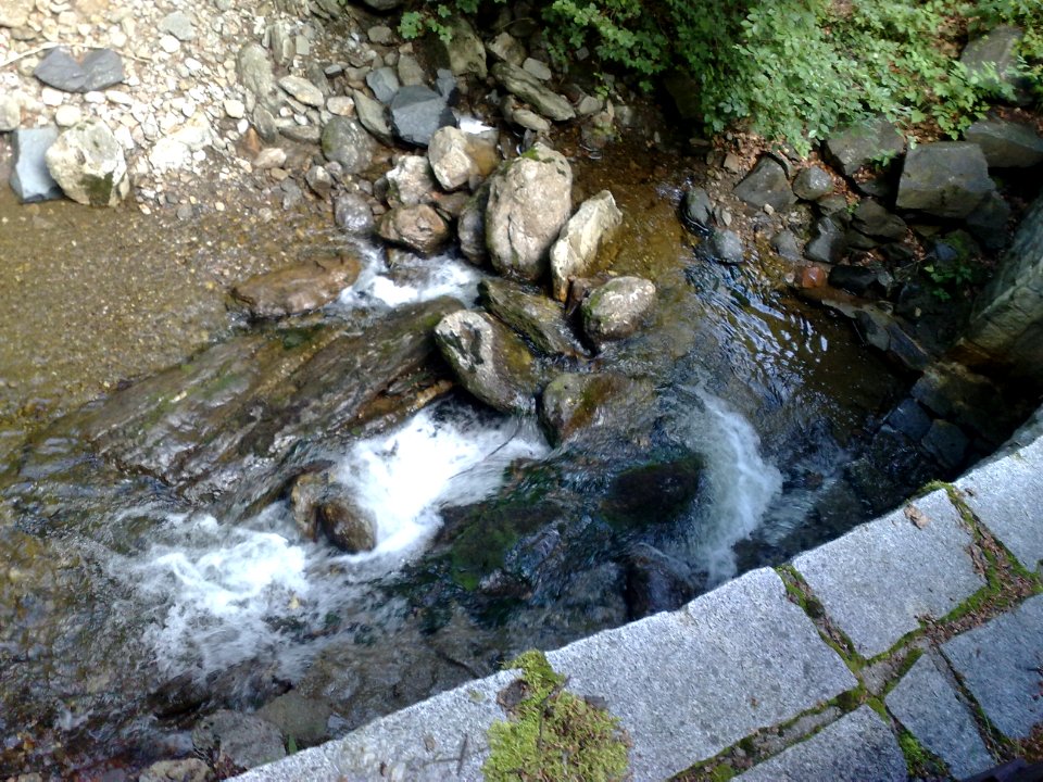 Vylet na Ostry, Sumava - 9 cervenec 2011 211
