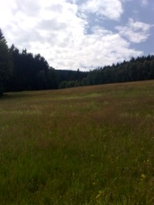 Vylet na Ostry, Sumava - 9 cervenec 2011 18