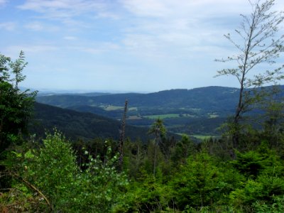 Vylet na Ostry, Sumava - 9 cervenec 2011 232
