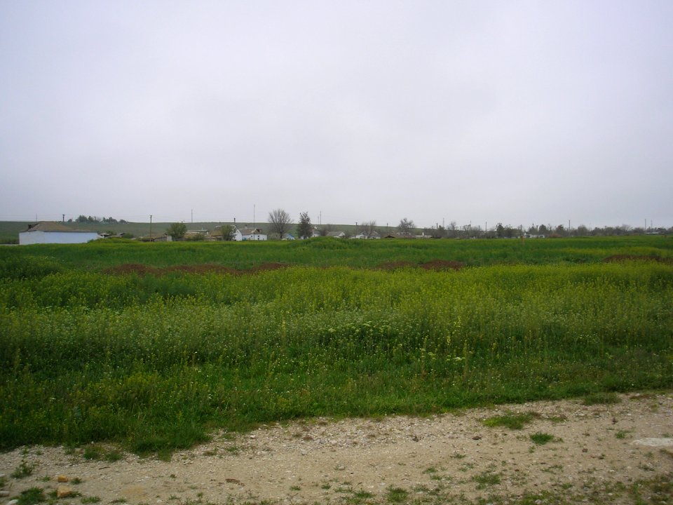 Vyaznikovo 5