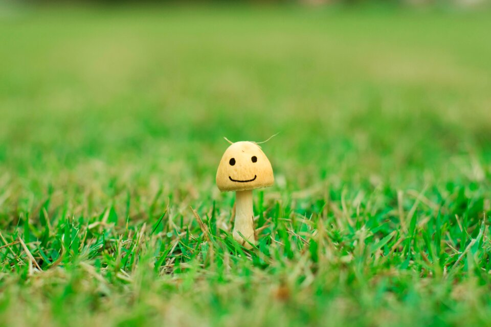 Green smile Free photos
