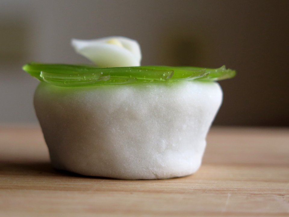 Wagashi closeup 13