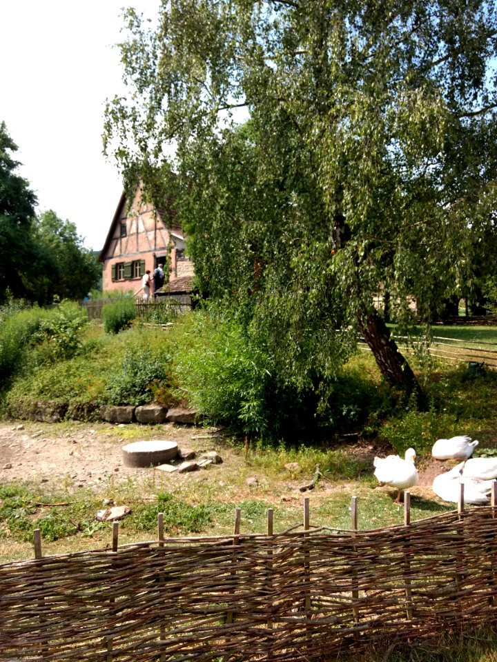 Wackershofen freilandmuseum 2018 12