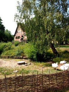 Wackershofen freilandmuseum 2018 12