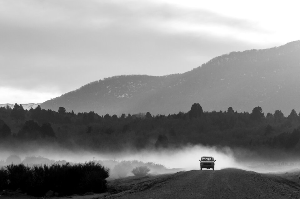 Hill tree valley