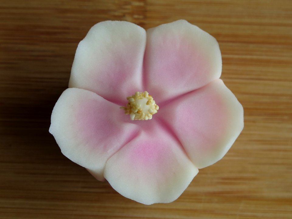 Wagashi closeup 11