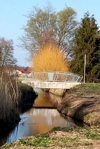 Wagbach bei Hambrücken