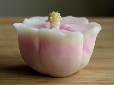 Wagashi closeup 10 photo