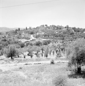 Stad (Abu Ghosh) gebouwd tegen een berghelling, Bestanddeelnr 255-2227