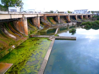 Suzana - Represa del Ebro 5