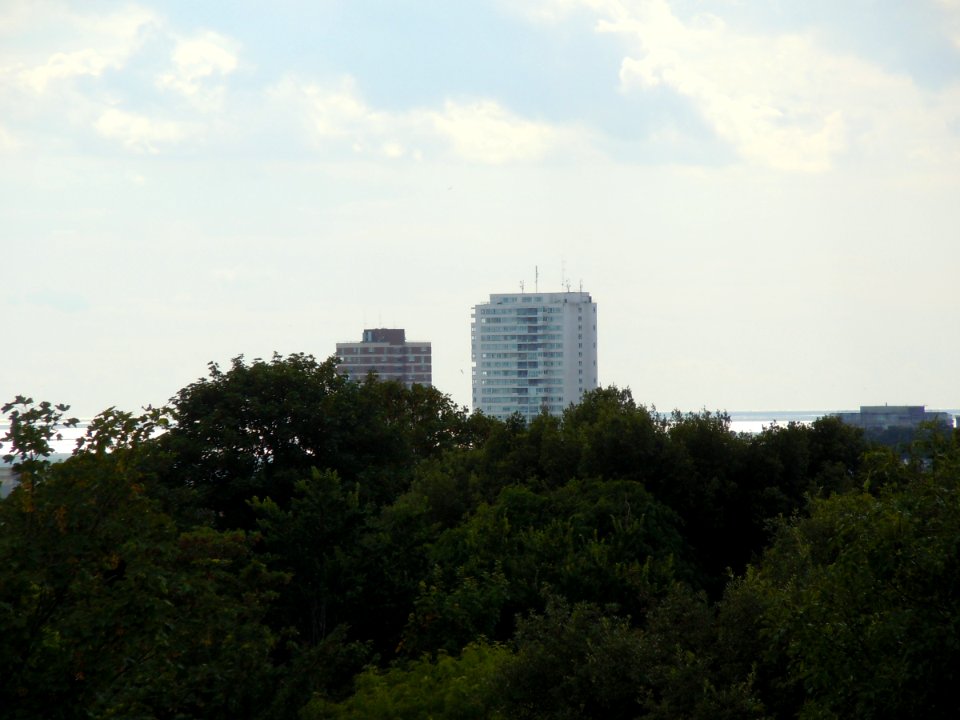 Sussex Heights and Chartwell Court seen from Brighton and Preston Cemetery, off Bear Road, Brighton (August 2014)