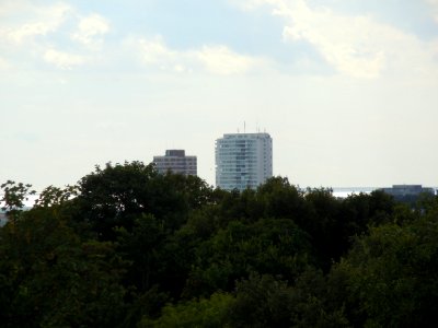 Sussex Heights and Chartwell Court seen from Brighton and Preston Cemetery, off Bear Road, Brighton (August 2014)