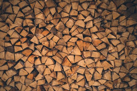 Trunk bark design