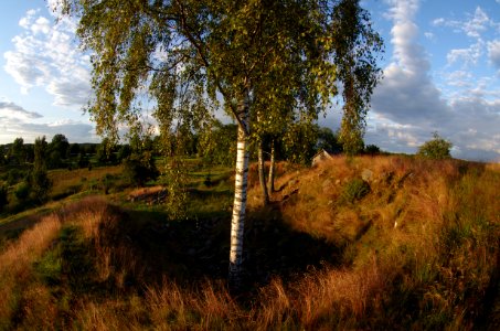 Suntak Gravfält vid Klostergården (RAÄ Suntak 8) 01