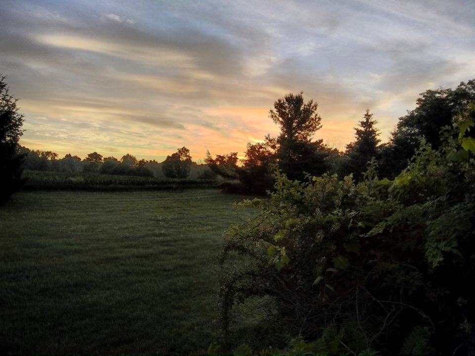 Sunrise (264132379)