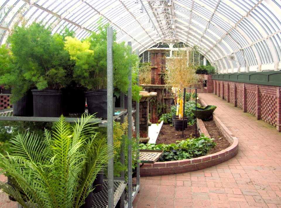 Sunken Garden, Phipps Conservatory, 2015-10-13, 01
