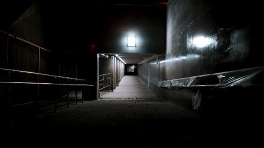 T6 (203643291)