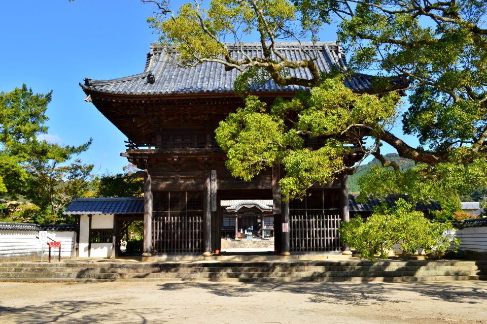 Suo Kokubunji, nioumon-1