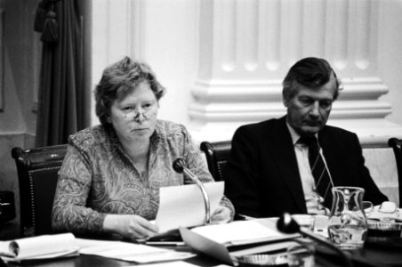 Staatssecretaris Kappeyne van de Coppello en minister De Koning van Sociale Zake, Bestanddeelnr 932-4848