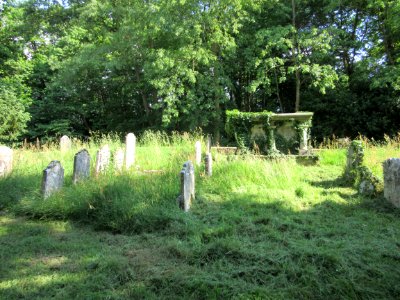St Peter's Church, Church Lane, Hambledon (June 2015) (Churchyard) (2)