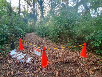 Start of winter at Institute for Nature Study 5