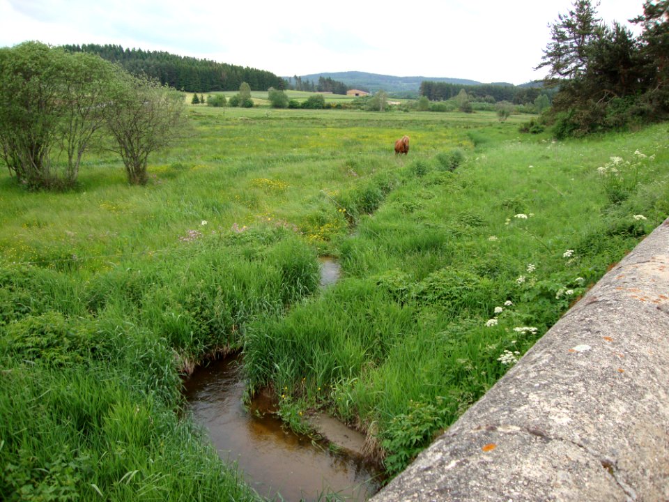 St.Pal-de-Mons (Haute-Loire, Fr) ruisseau affluent de la Dunières (rivière)