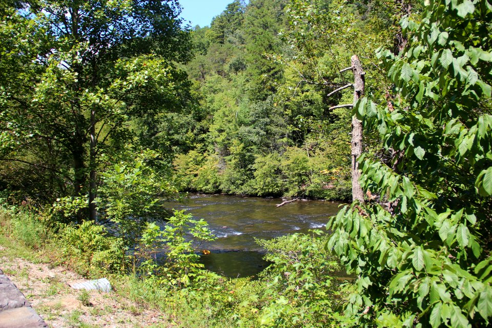 Tellico River, TN Sept 2019